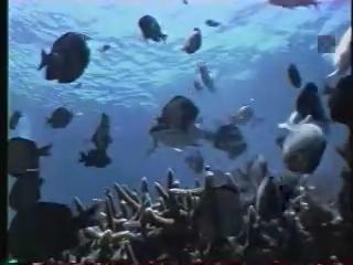 瀛海水晶宮-11
揭開綠島的神秘面紗