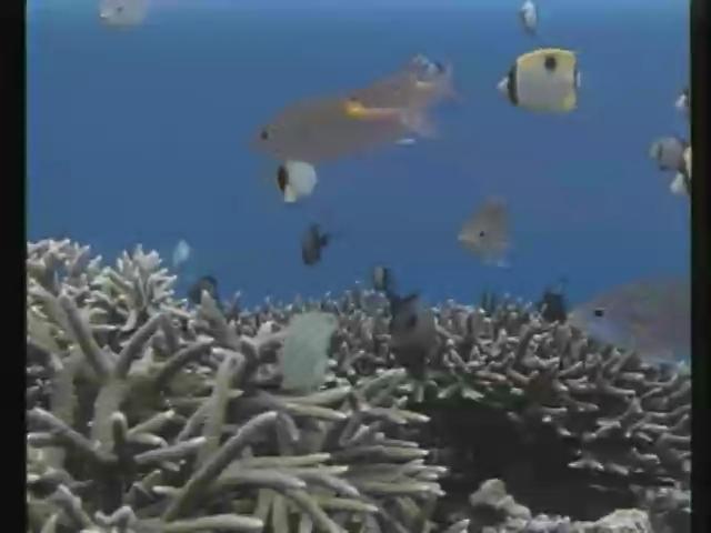 瀛海水晶宮-12
雞仔礁