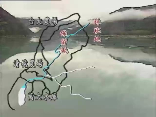 水-1
無淚的森林