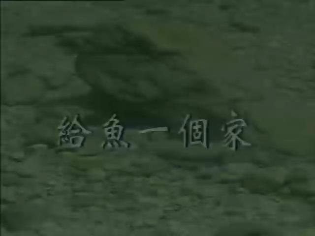水-5
給魚一個家