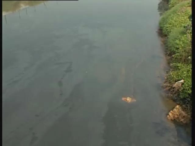 水-10
河死了:河川污染