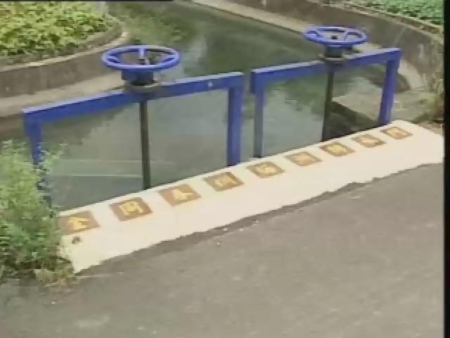 水-12
我家門前有小河