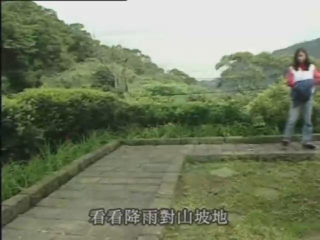 水-24
重建森林