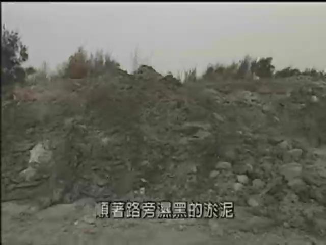 我們的島-再見海洋系列-8
惜別海岸