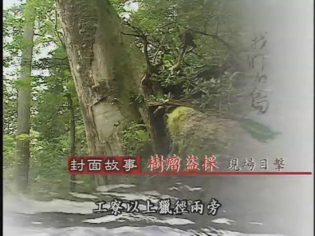 我們的島-台灣山林系列-15
數瘤盜伐
