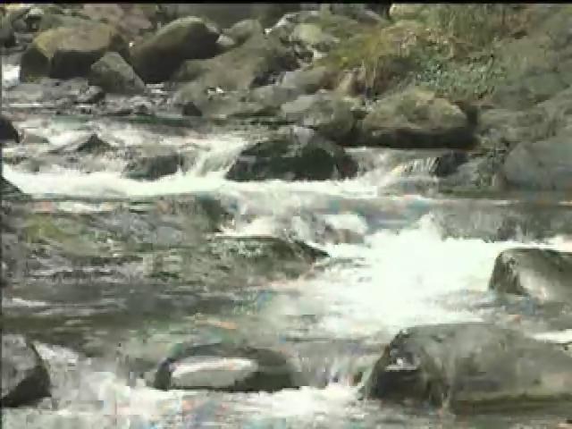 我們的島-大甲溪系列-1
陸封之河 