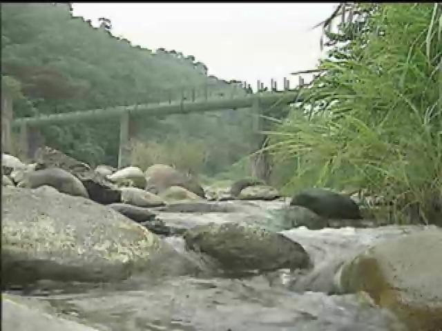 我們的島-大甲溪系列-4
水起源生(大甲溪水壩)
