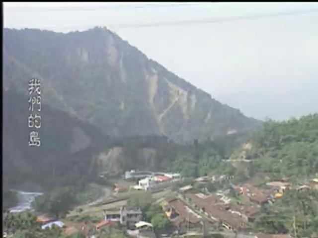 我們的島-濁水溪系列-3
大樹的流金歲月