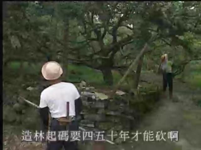 我們的島-濁水溪系列-8
鋤頭下的春天