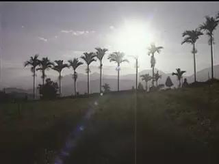 我們的島-濁水溪系列-14
窗外風景