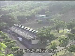 我們的島-留住台灣原貌系列-3
落入人間的梅花鹿