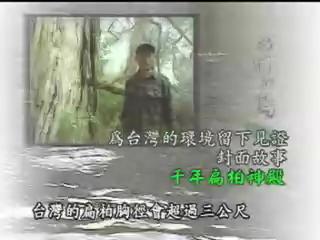 我們的島-留住台灣原貌系列-7
世界瑰寶-千年扁柏神殿