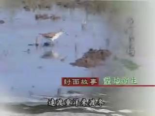 我們的島-留住台灣原貌系列-9
溼地新生
