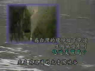 我們的島-生態旅遊系列-2
悠遊美麗島?