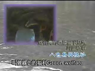 我們的島-砂石系列-2
八色鳥及陸砂