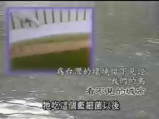 我們的島-城市生態系列-2
看不見的城市