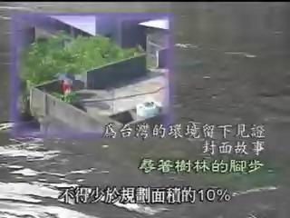 我們的島-城市生態系列-3
尋著樹林的腳步