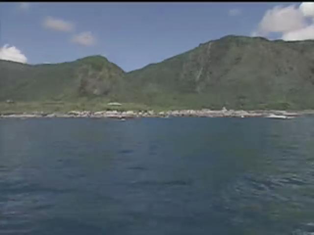 我們的島-海洋系列-1
戀戀珊瑚礁