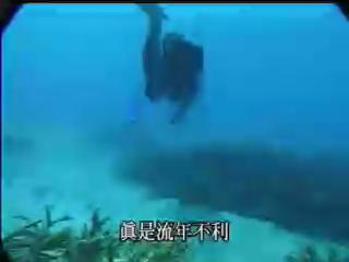我們的島-2001年-6
海底秘密花園