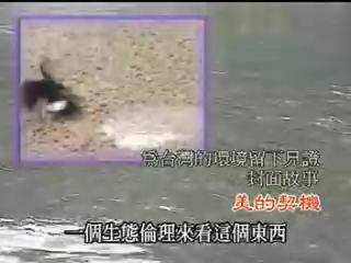 我們的島-2001年-10
變色的光環(下)