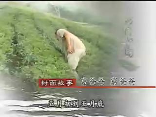 我們的島-2003年-7
富爸爸、窮爸爸
