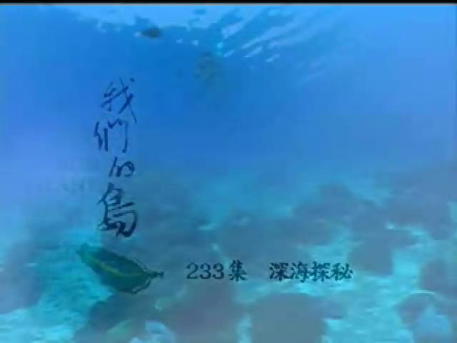 我們的島-2003年-14
深海探秘