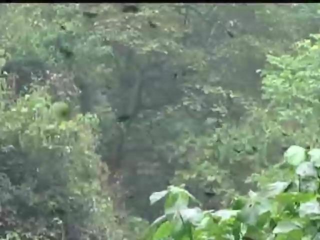 我們的島-2004年-1
紫蝶謎情