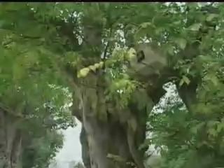 我們的島-2004年-5
企業綠色秘技