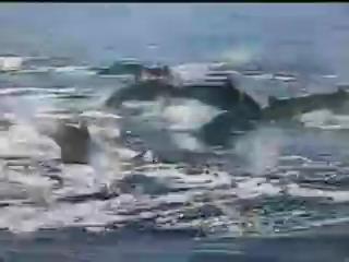 我們的島-2004年-12
還原生態工法
