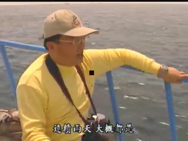 我們的島-2004年-33
澎湖後花園