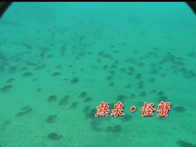 我們的島-2005年-2
熱泉‧怪蟹，課堂之後，角落台北-齊東故事