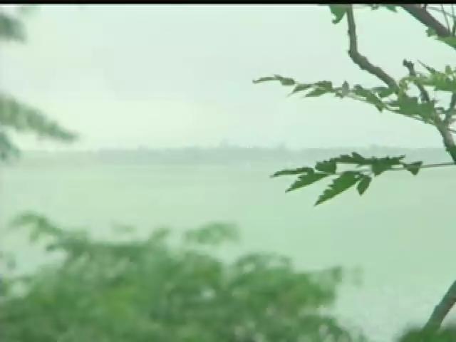 我們的島-2005年-5
無尾港失樂園，香港‧米埔