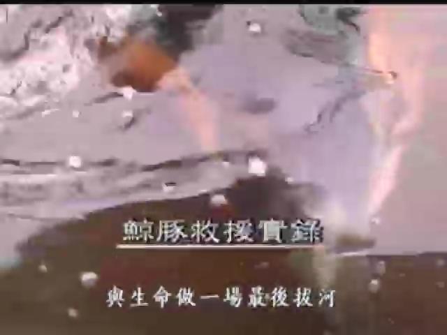 我們的島-2005年-7
鯨豚救援實錄