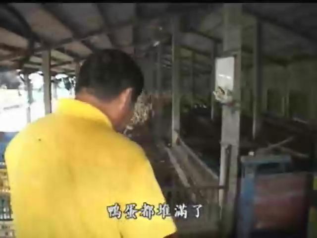 我們的島-2005年-22
2005環境事件簿