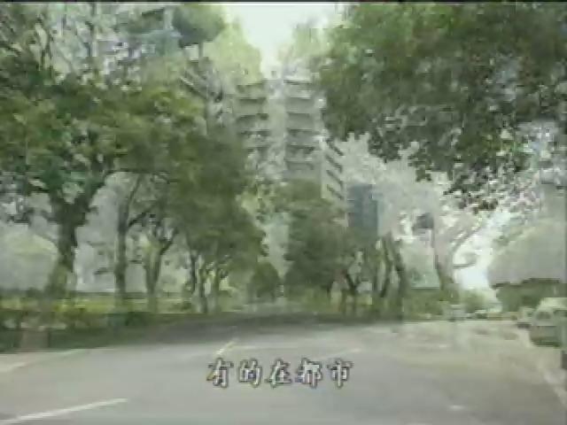 我們的島-2005年-27
大道之行