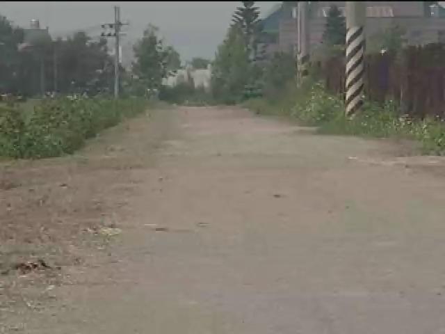 我們的島-2006年-4
農場裡的動物朋友