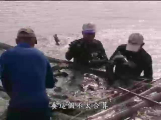 我們的島-2006年-7
為健康把關（三）食品紅綠燈