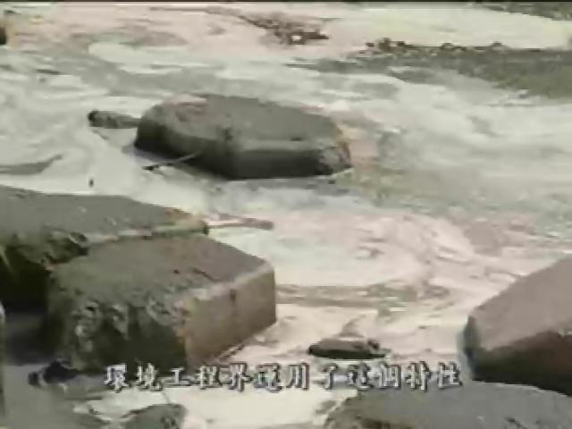我們的島-2006年-11
體檢人工濕地