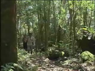 我們的島-2006年-21
紅檜與高麗菜