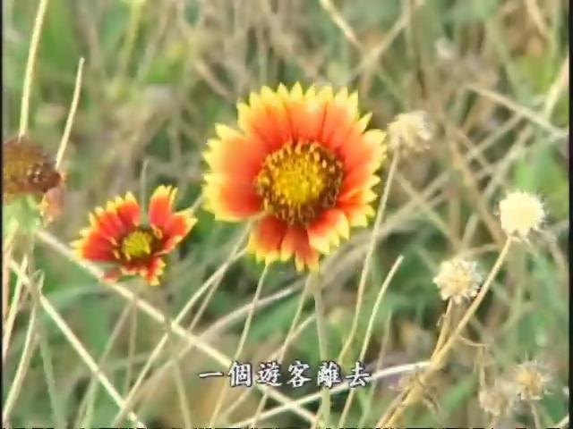 我們的島-2006年-35
澎湖願景‧一二三事