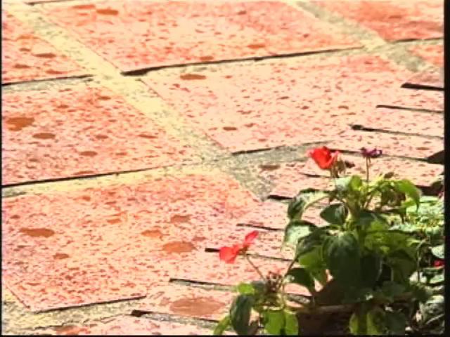 我們的島-2007年-16
面對台灣