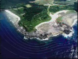 我們的島-2007年-17
海洋生物產卵紀事