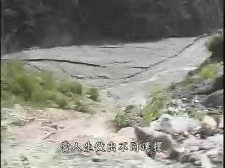 我們的島-2007年-19
竹村桃源夢