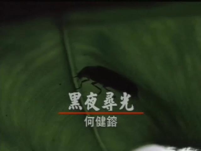 新世代觀察家-3
黑夜尋光：何健鎔