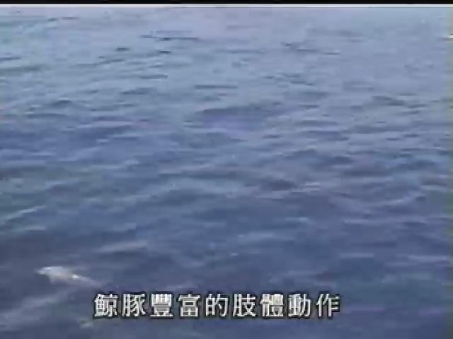 新世代觀察家-5
持解剖刀的心情：姚秋如