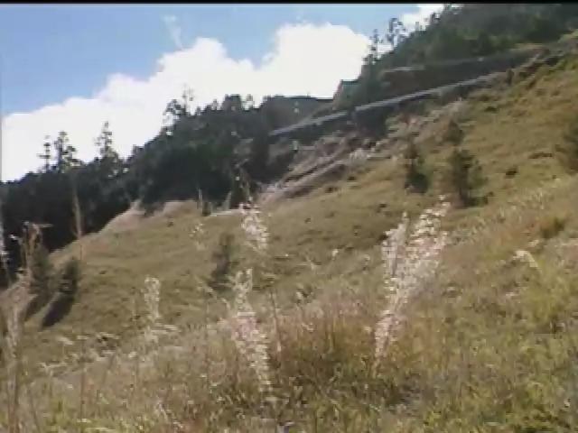 新世代觀察家-6
尋找高山蜻蜓：林斯正