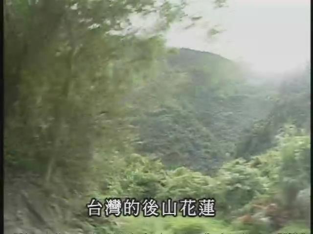 新世代觀察家Ⅱ-1
邂逅莫氏樹蛙-溫華霞