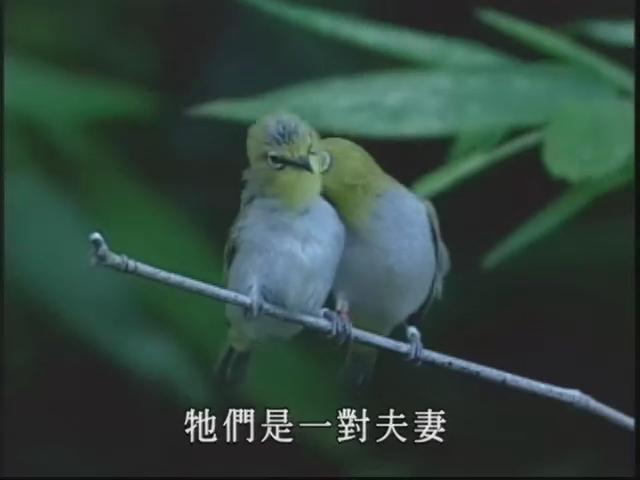 新世代觀察家Ⅱ-3
鳥與人-孫清松