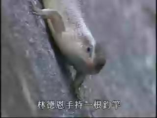 新世代觀察家Ⅱ-9
德恩的爬蟲世界-林德恩