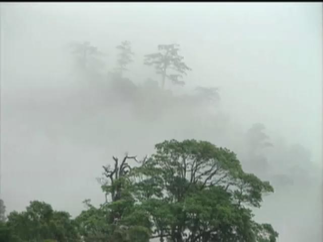 探訪台灣大自然-5
思源埡口